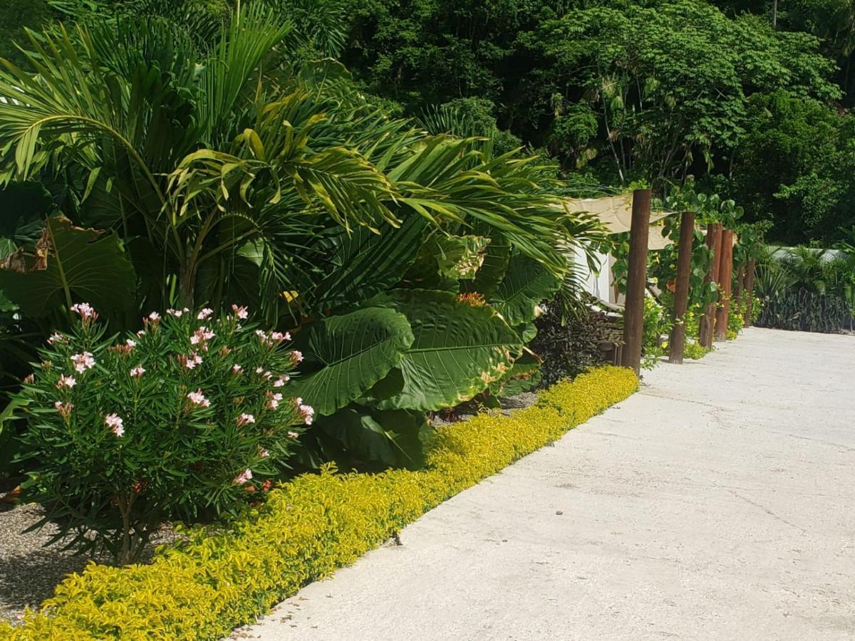 Malaki Hotel Los Ayala